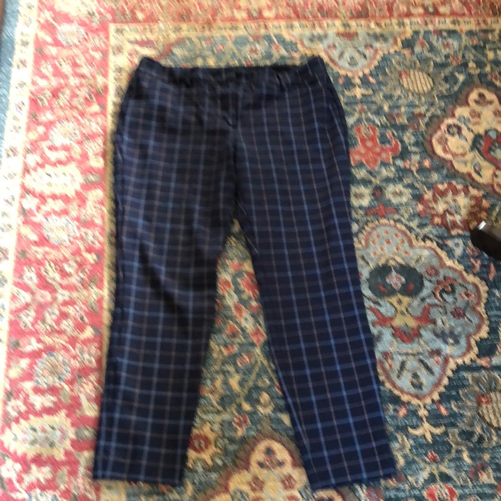 Express dress pants size 12